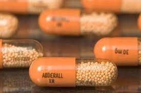 My Dog Ate Adderall What Should I Do Our Fit Pets