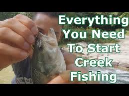 We tried plastics and only had pan fish hits. 10 Best Baits For Creek Fishing In July 2021