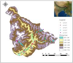 Image result for Helixanthera garciana