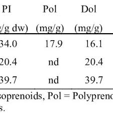 Image result for Riocreuxia chrysochroma