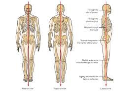 How To Correct Bad Posture Assessment Chart Posture Fix