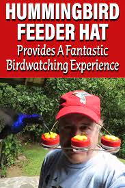 Hummingbird Feeder Hat Provides A Fantastic Birdwatching Experience