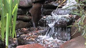 To install a natural pond, a surface. Water Garden Pond Design Youtube
