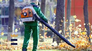 Maybe you would like to learn more about one of these? Can I Use A Leaf Blower To Dry My Car Krqe News 13