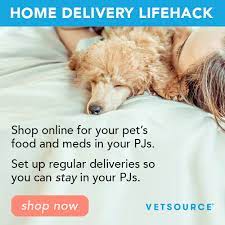 All pets veterinary hospital darbojas veterinārārsti un dzīvnieku klīnikas aktivitātēs. Home Veterinarian In Norman Ok Westwood Veterinary Hospital Westwood Veterinary Hospital Veterinarian In Norman Ok Us