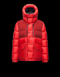 Discover Aureal For Men Find Out The Product Features And Shop Directly From The Moncler Official Online Store Mens Ski Wear Mens Jackets Moncler Jacket