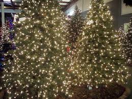 Chattanooga Tn 330 Pre Lit Christmas Tree Christmas Place Christmas Lights