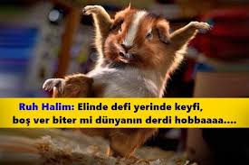 Ruh Halim Sozleri 2020 Komik Guzel Soz Komik Metinler