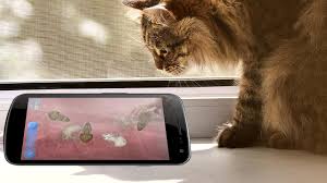 Android Icin Kedi Fare Oyunu Apk Yi Indir
