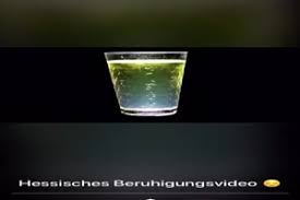 Auf funpot findest du tausende witzige bilder und videos, tolle präsentationen, herzige sprüche und vieles mehr. 0rvu 8qti1vusm