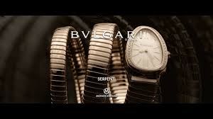 Bvlgari bulgari for the ladies (with white pearl dial). Bulgari Serpenti The Story Behind One Of The Most Iconic Ladies Watches Ever Youtube