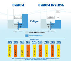 Più precisamente, l'osmosi esterna è possibile grazie a una membrana semipermeabile che fa passare soltanto le molecole simili all'acqua ed espelle quelle di natura diversa. Cos E E Come Funziona L Osmosi Inversa Culligan Blog