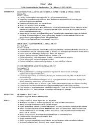 cloud principal consultant resume