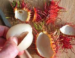 Rambutan is best eaten fresh. The Tropical Fruit Rambutan