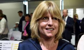 European elections 2019: What parties can you vote for in EU election? Who  is standing?