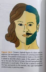 You don't look non-binary" okay let me just: