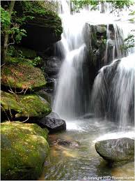 These glowworms here in dismals canyon operate differently. Dismals Canyon Wikipedia