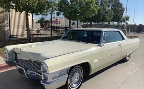 Image result for Cape Ivory 1965 GM