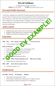 Cv examples see perfect cv samples that get jobs. Cv Examples Example Of A Good Cv Biggest Mistakes To Avoid
