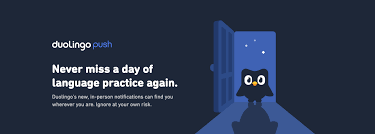 Owl plushie,mini owl plush toy,owl toy,owl stuffed toy,owl doll, baby plush toy, stuffed toy owl, toddler plush doll, bird plush toy,17cm/6 jacklynonline 5 out of 5 stars (14) $ 36.01 free shipping add to favorites owl tiny needle felted, bird owl dollhouse miniature, owl lover gift, mini owl. Introducing Duolingo Push Duolingo