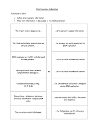 The results for dna structure and replication biology pogil answer key. Dna Structure Vs Function Card Sort Teaching Resources