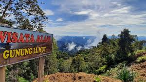 Lukisan pemandangan gunung dan sungai. Nikmati Panorama Alam Di Puncak Gunung Lumut Berau Ada Air Terjun Hingga Pandangi Hamparan Awan Tribun Kaltim