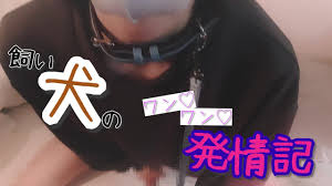 Ein hübscher Hund in einem Sweatshirt, Wan ♡ Wan ♡ Rut.