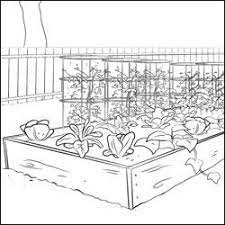 You could even grow your own broccoli, like the plant in my picture on the right. Farm Coloring Pages Hobby Farms Farm Coloring Pages Garden Coloring Pages Coloring Pages