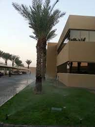 Our job is to gain the trust of new clients and build a strong relationship with them,we master in quality work and making sure our clients are satisfied and happy with out services established in 1985. Green Life Landscaping And Gardening Services Dubai