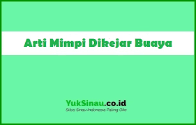 Tidak hanya di dunia nyata, tapi juga di dunia. 20 Arti Mimpi Dikejar Buaya Yang Harus Anda Ketahui