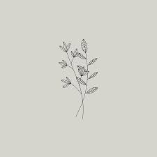Black And White Plants Aesthetic Free Handdrawn Instagram Highlight Covers Maggie Molloy Illustration Sketch Instagram Instagram Aesthetic Free Instagram