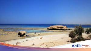 Kehidupan bawah laut tropis merupakan kajian yang menarik dan terus berkembang. 4 Fakta Laut Merah Kisah Nabi Musa Hingga Air Terasin Di Dunia