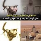 تركيا الخبر