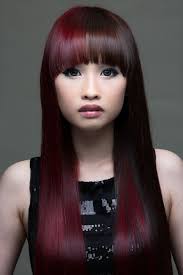 Split Dye Chapter 2 Split Dyed Hair Brown Hair Dye Split Hair