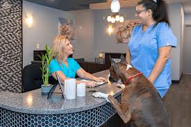 Our mission is to provide the highest quality in veterinary medical animal pet health care in a professional, friendly, relaxed setting. Pets Archives Rockland County Business Journal