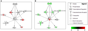 When combined with pemetrexed (alimta), it leads to . Plos One Apoptosis Induced By Piroxicam Plus Cisplatin Combined Treatment Is Triggered By P21 In Mesothelioma