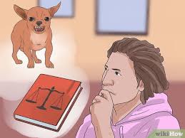 Check spelling or type a new query. 3 Ways To Deal With A Neighbor S Barking Dog Wikihow