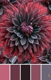 Kitchen Colors Red Bathroom 52 New Ideas Color Schemes Colour Palettes Red Colour Palette Grey Color Palette