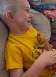 Hello everyone ☀️ Meet Munch and Mark 💙🤣 we're new to the reptile world  so looking for suggestions