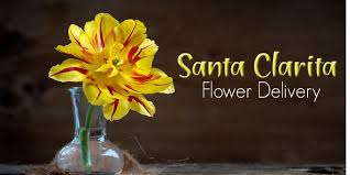 Sunflorist will deliver flowers right to your door. The 6 Best Options For Flower Delivery In Santa Clarita 2021