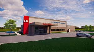 Image result for Erlangea