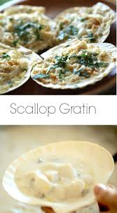 Scallop Gratin An Easy Festive Appetizer Recipe F Recipes Gratin Recipe Scallop Recipes