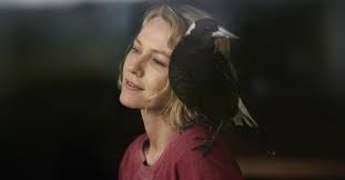 การสัมมนาเรื่องการลดและเลิกใช้สาร hcfcs และแนวทางในอนาคตที่ลดการใช้สาร hfcs ของประ. à¸£ à¸§ à¸§ Penguin Bloom à¸Š à¸§ à¸•à¸¡ à¸«à¸§ à¸‡à¹€à¸ªà¸¡à¸­ à¹„à¸¡ à¸¡ à¸ªà¸›à¸­à¸¢à¸¥ à¸ª à¸§à¸™à¸ªà¸³à¸„ à¸