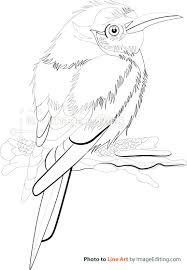 How can i edit a photo so it ends up looking likje a sketch? Photo To Line Art Part 1 Imageediting