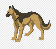 Toes arched and well closed; German Shepherd Puppy Golden Retriever Tervuren Belgian Shepherd Shepherd Mammal Animals Cat Like Mammal Png Pngwing