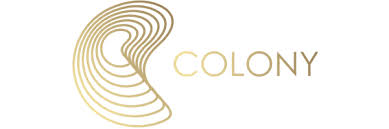 Lirik boulevard oleh dan byrd. Colony Star Boulevard Startseite