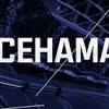 Фанаты спорта следят за событиями не только на поле, корте или зале. 1