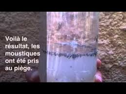 Anti Moustique Piege A Moustiques Moustique Truc Et Astuce Deco