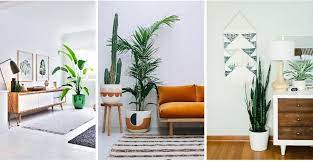 Do you ever look at pretty homes and think, i wish i could decorate my house like that? Greenery Home Decor Trend 2017 Wallflora