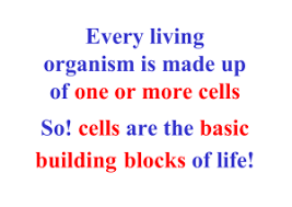 Check spelling or type a new query. Cell Organelle Analogy To A Football Team